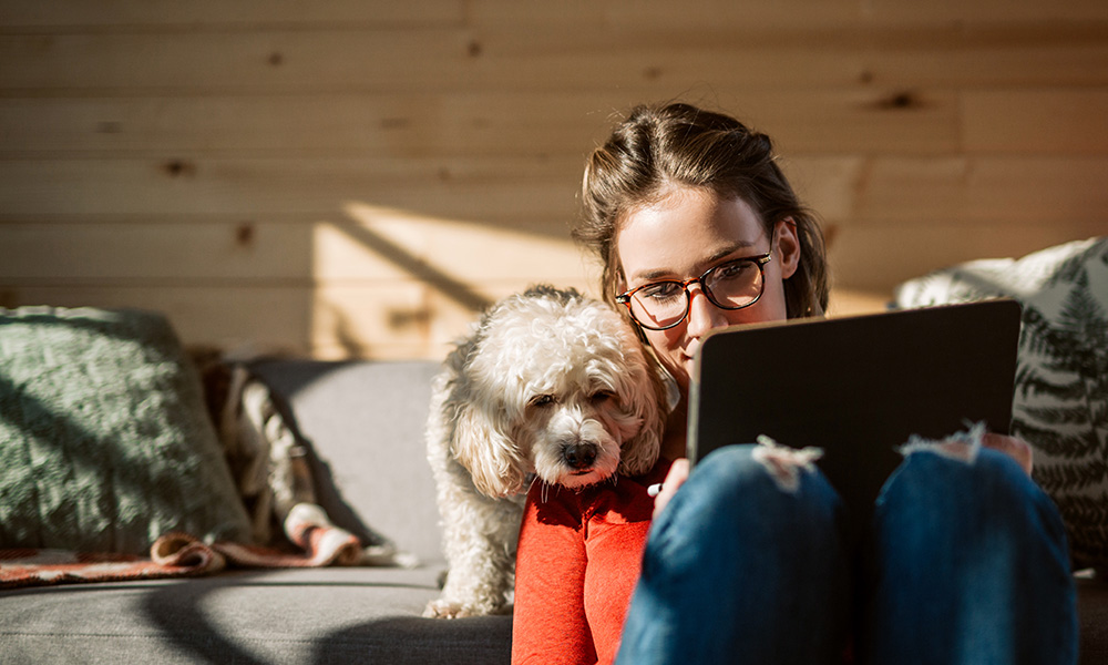 Kvinna pluggar på distans hemma på sin Ipad, med en hund som tittar på skärmen